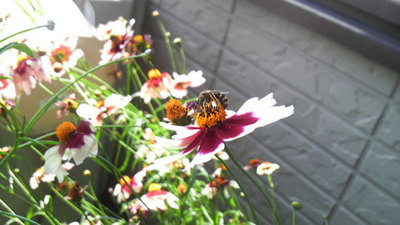 P9990099.jpg