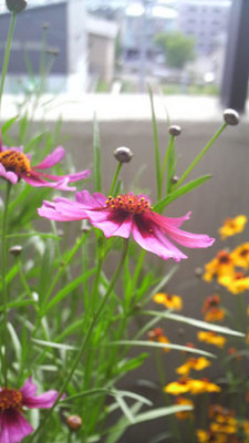 P9990103.jpg