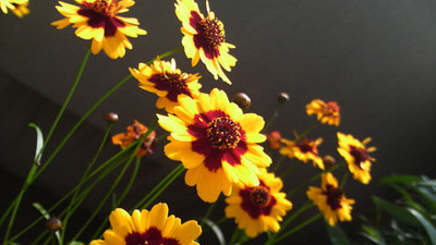 P9990113.jpg