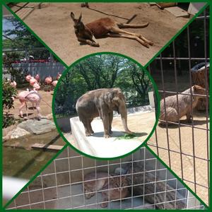2015-05-05_14.36.43.jpg